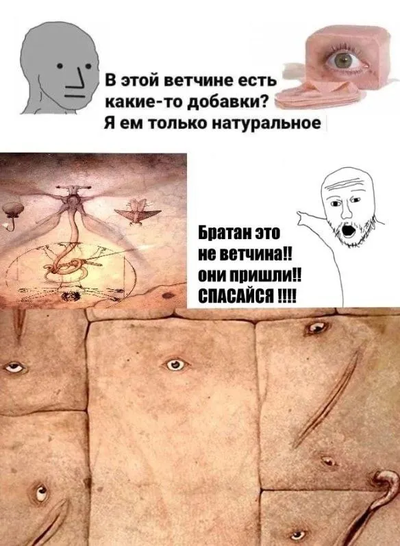 Untitled meme