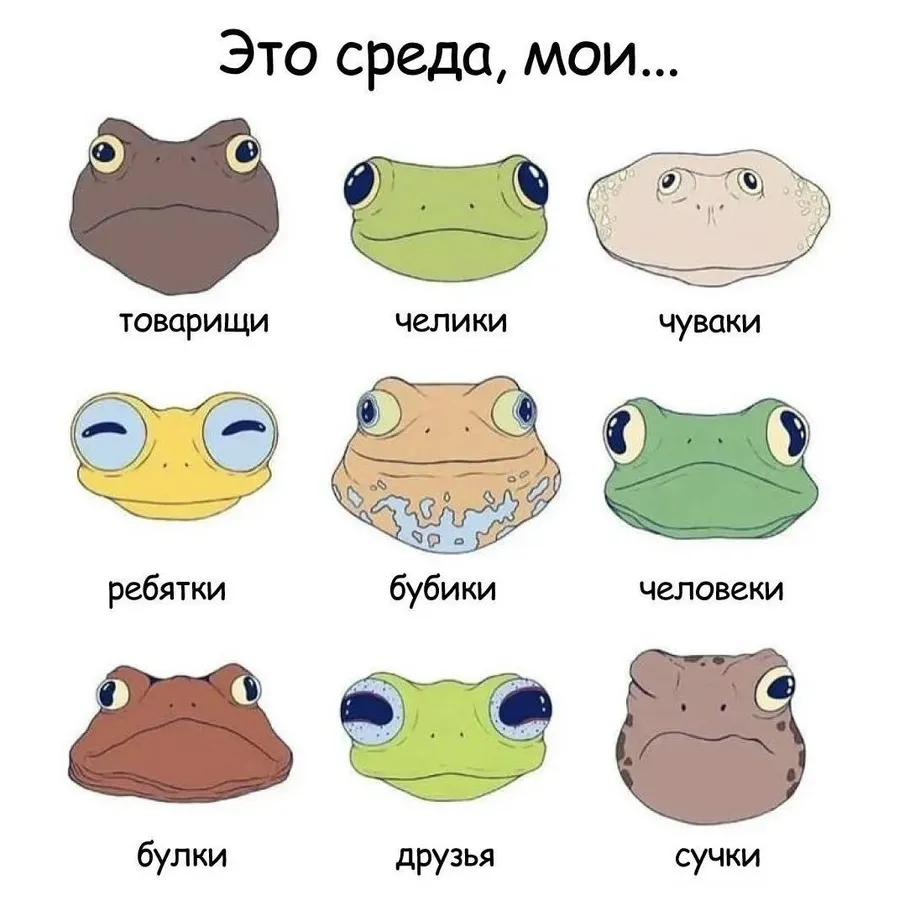 Untitled meme