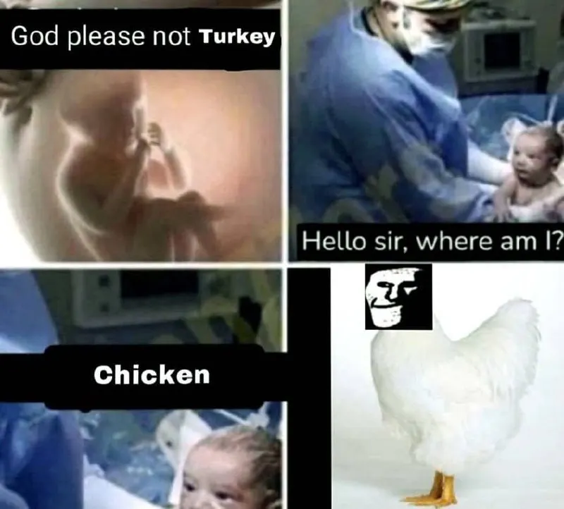 Untitled meme