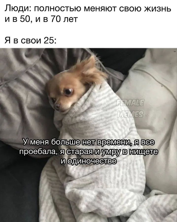 Untitled meme