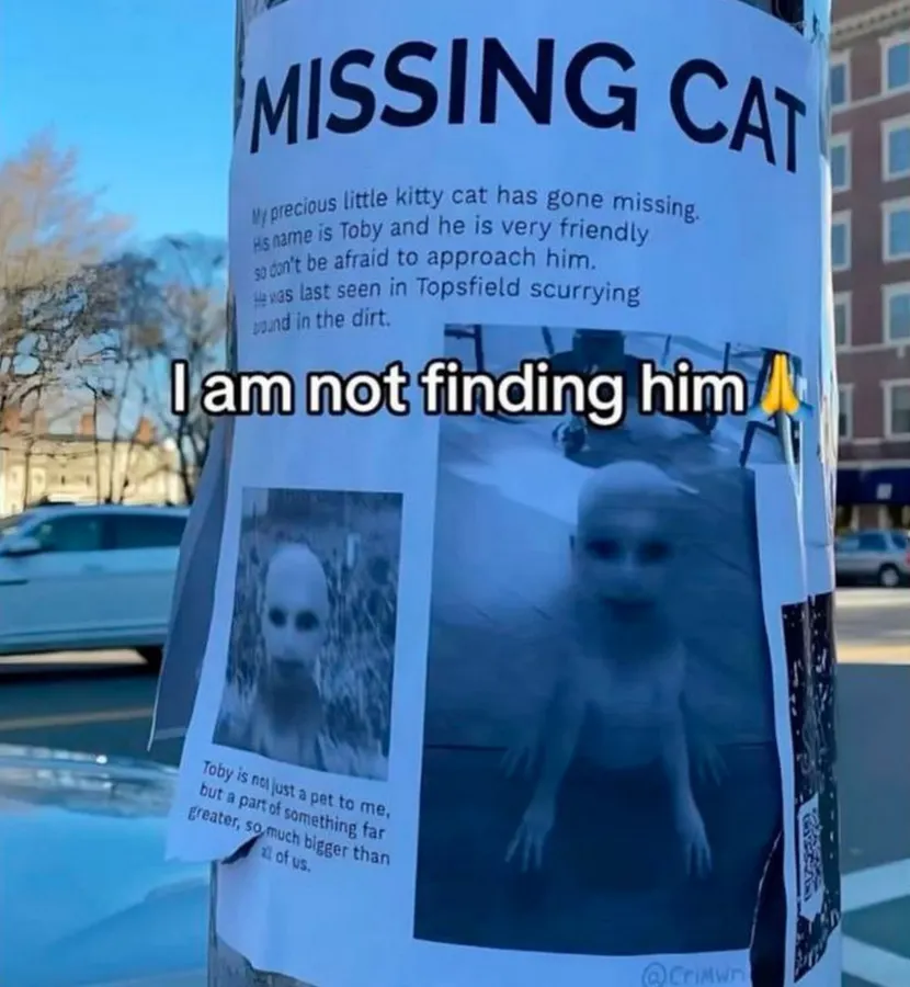 Untitled meme