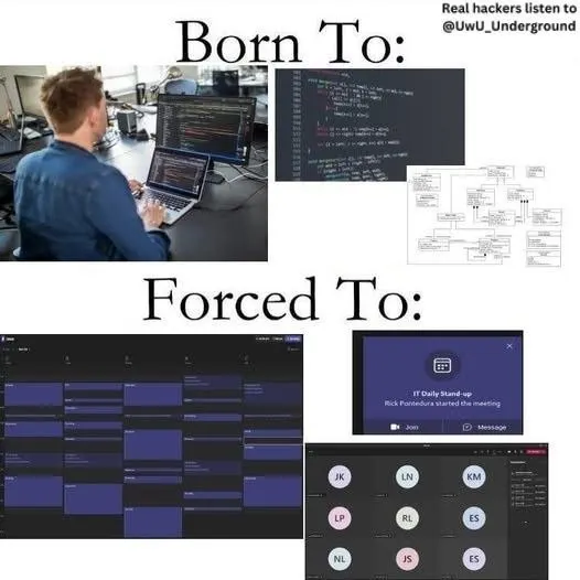 Untitled meme