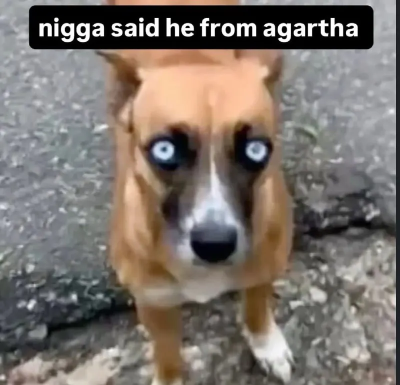 Untitled meme