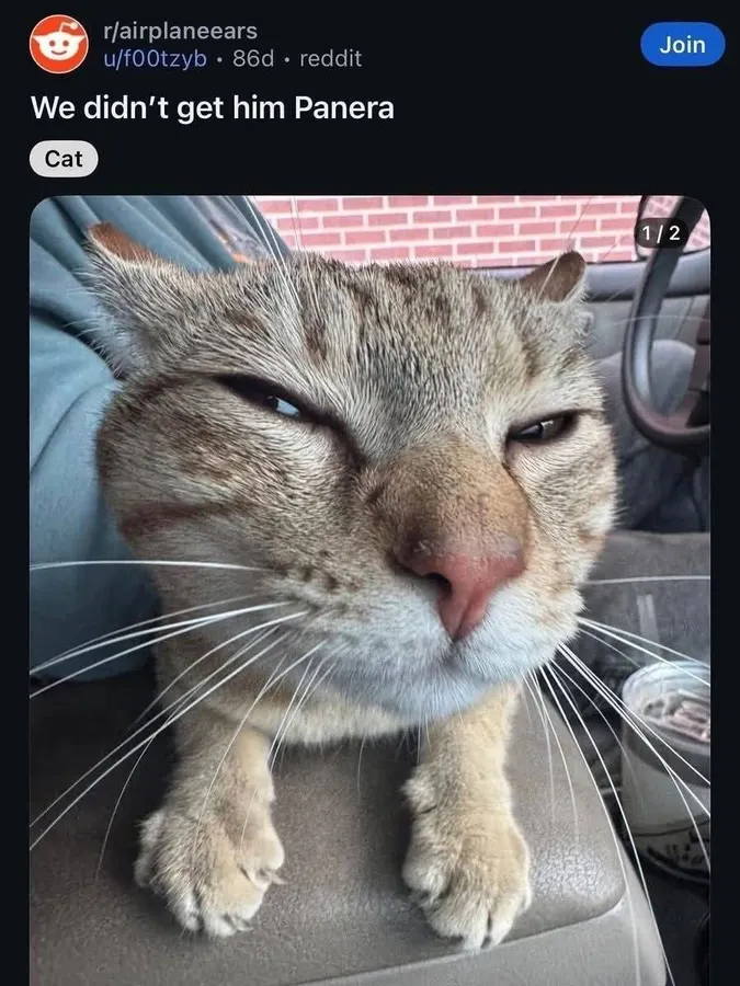 Untitled meme