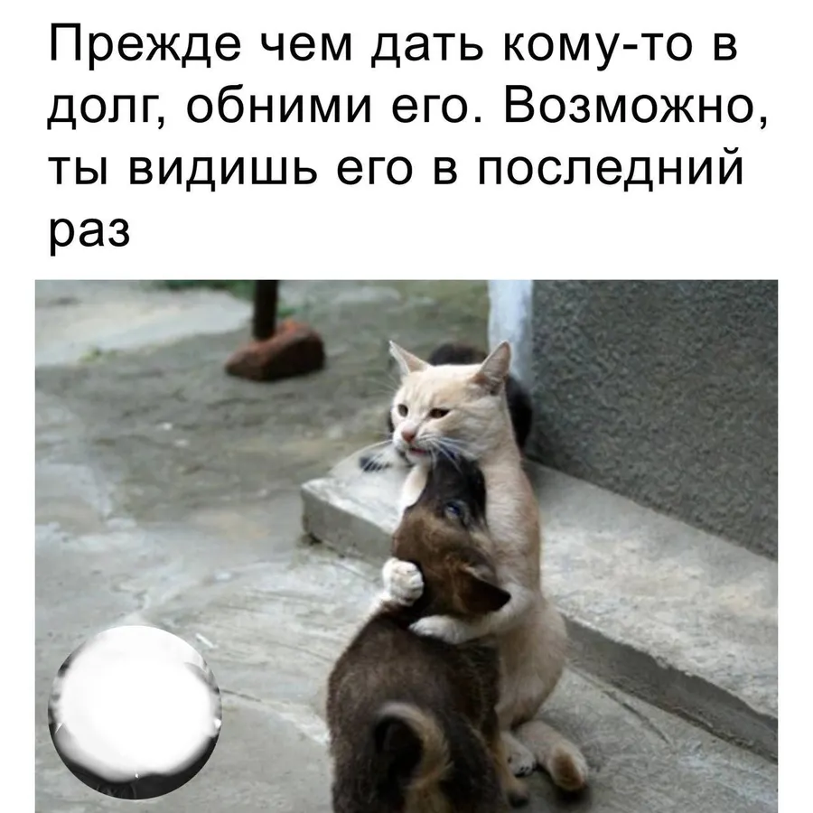 Untitled meme