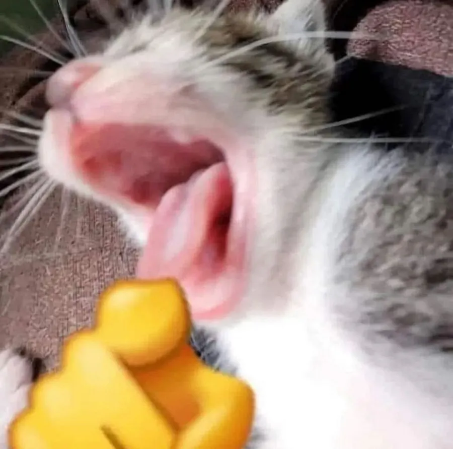 Untitled meme