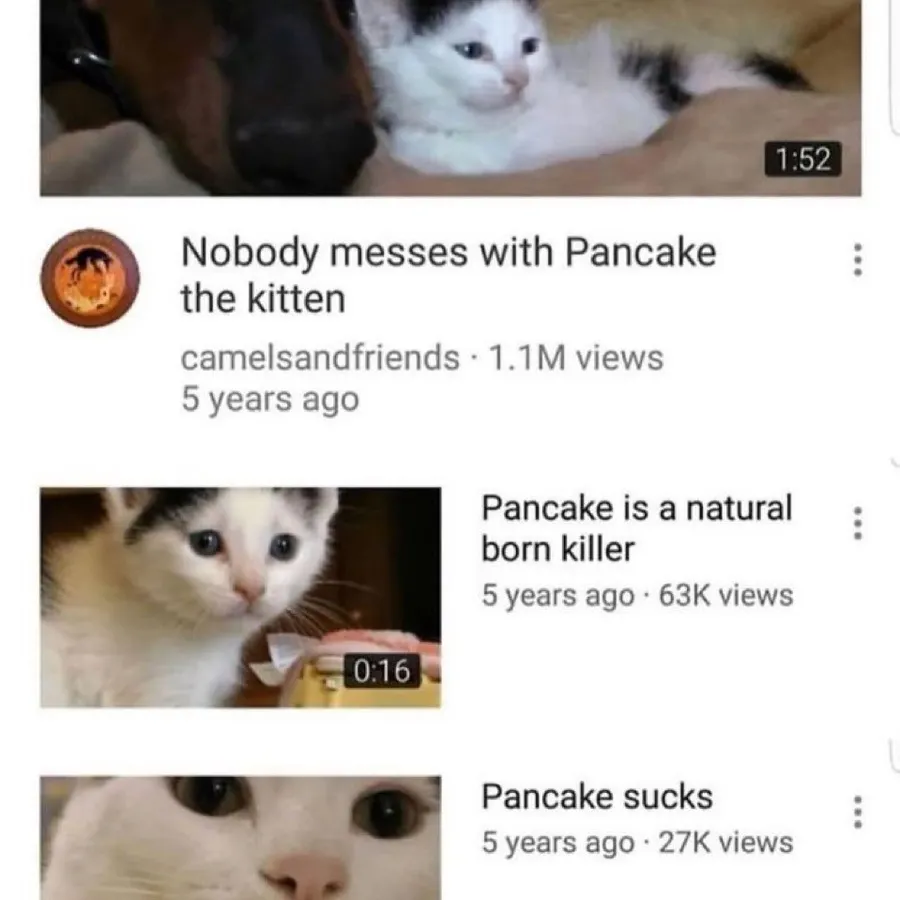 Untitled meme