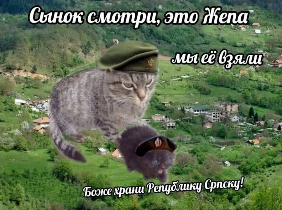 Untitled meme