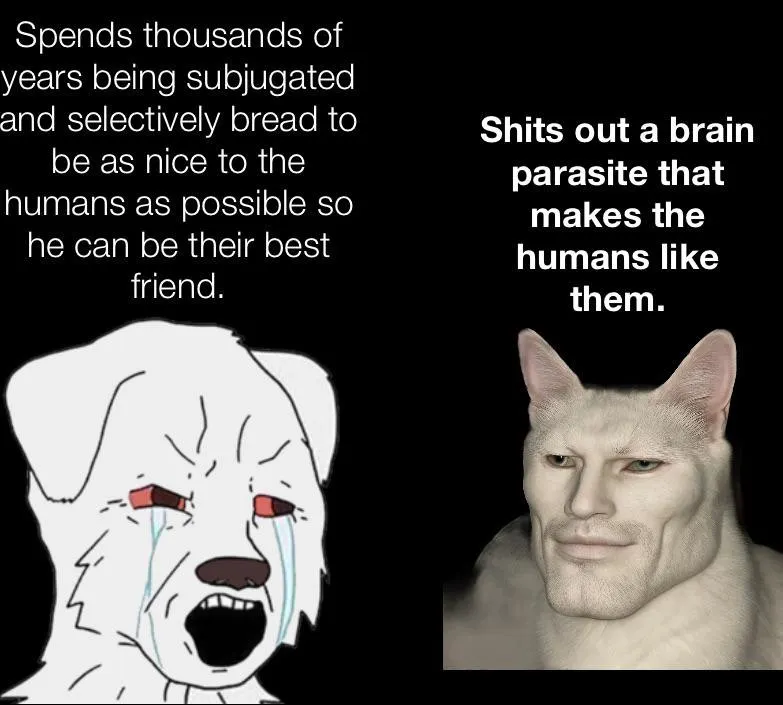 Untitled meme
