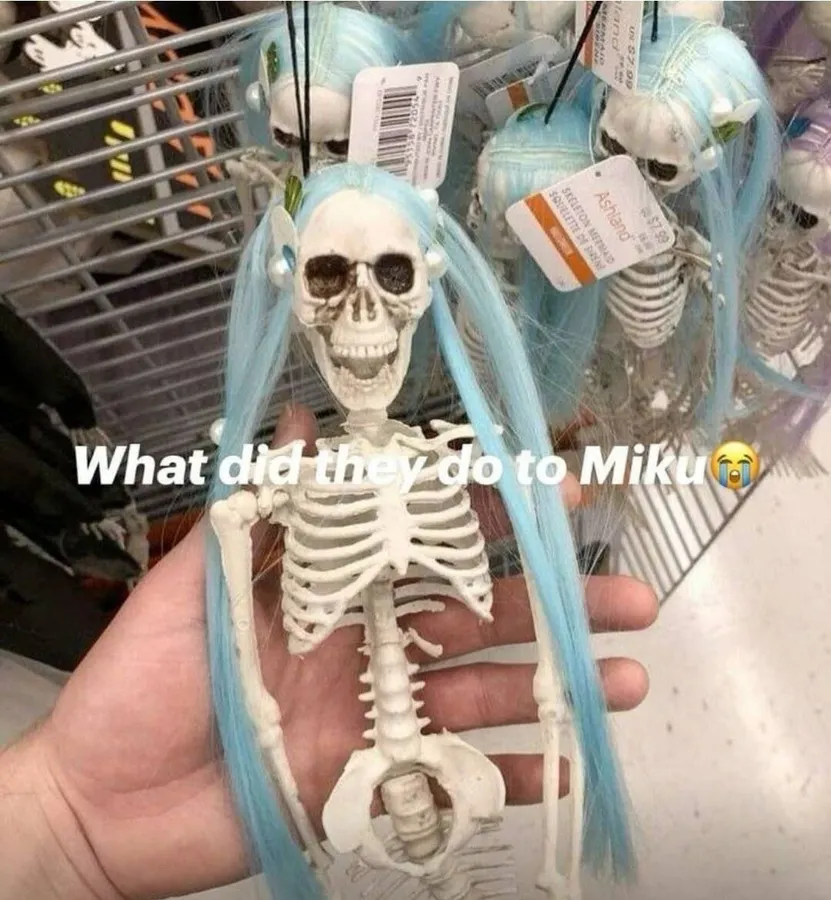 Untitled meme