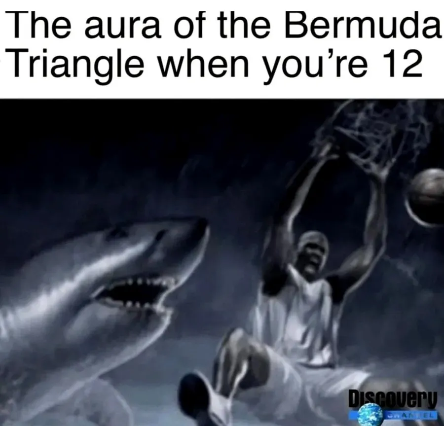 Untitled meme