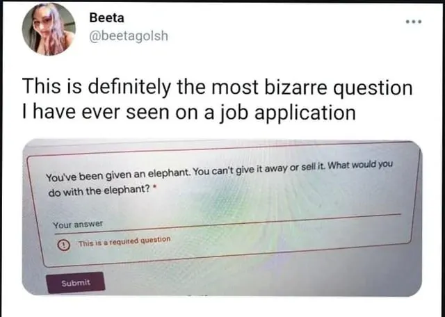 Untitled meme