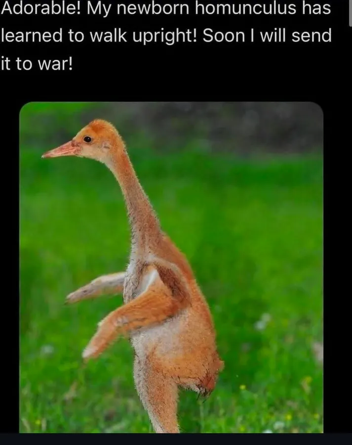 Untitled meme