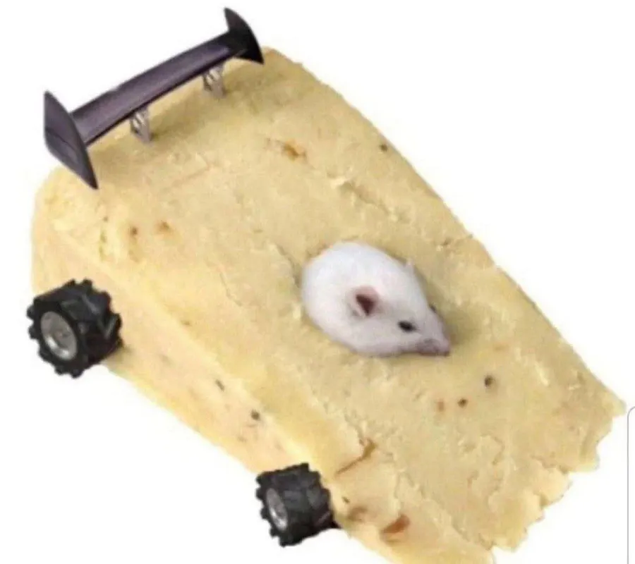 Untitled meme