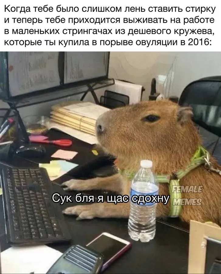 Untitled meme