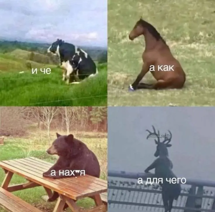 Untitled meme