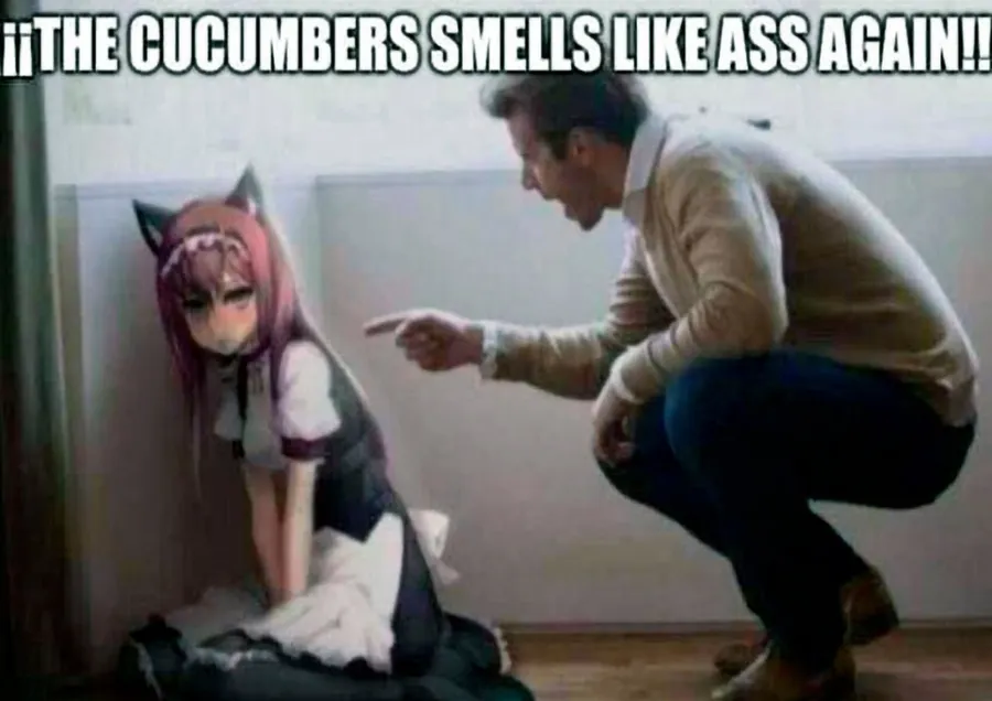 Untitled meme