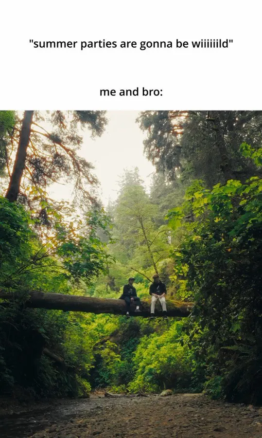 Untitled meme