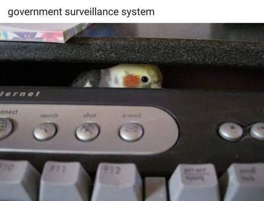Untitled meme