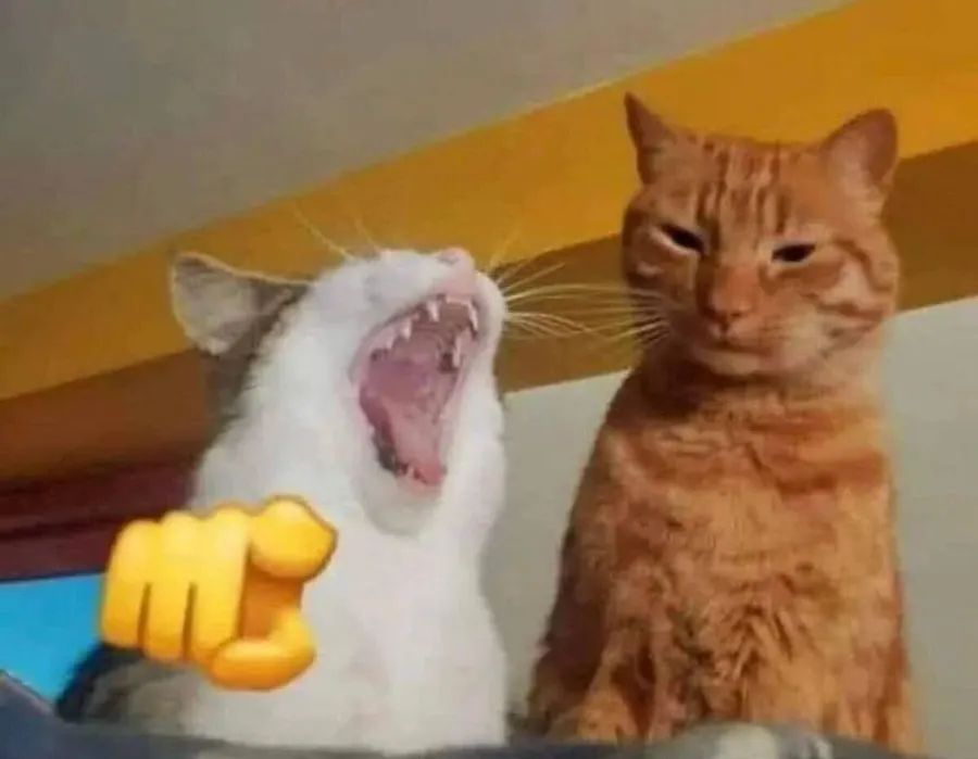 Untitled meme