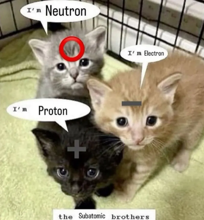 Untitled meme