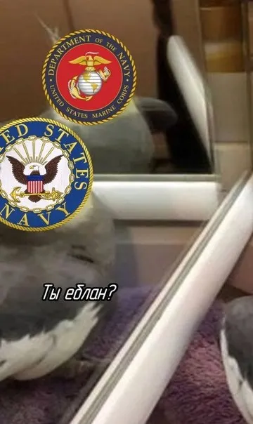 Untitled meme