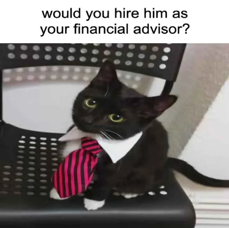Untitled meme