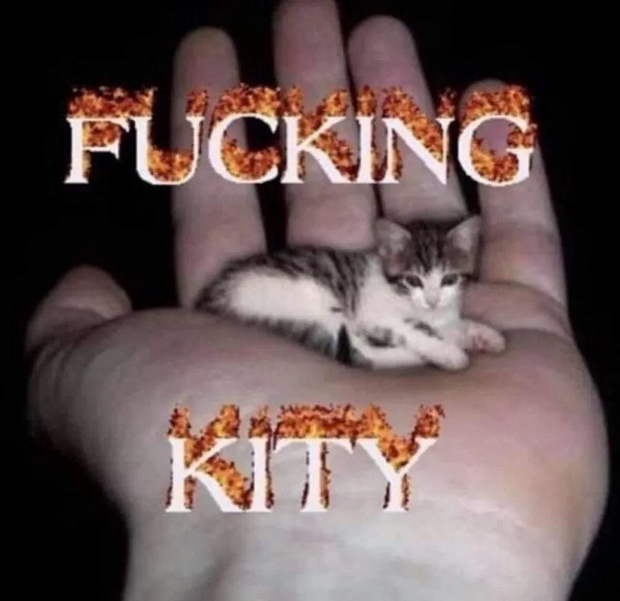 Untitled meme