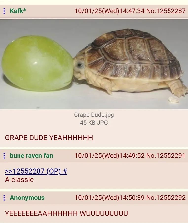 Untitled meme