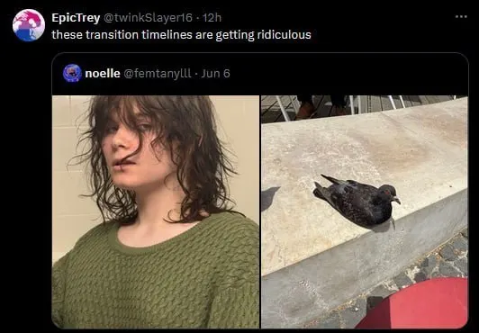 Untitled meme