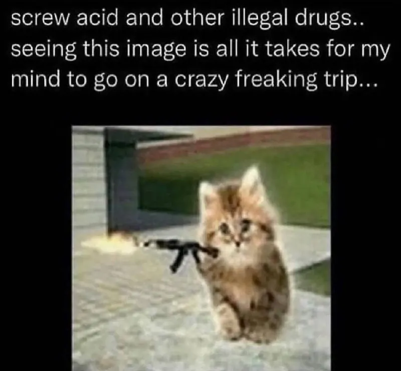 Untitled meme