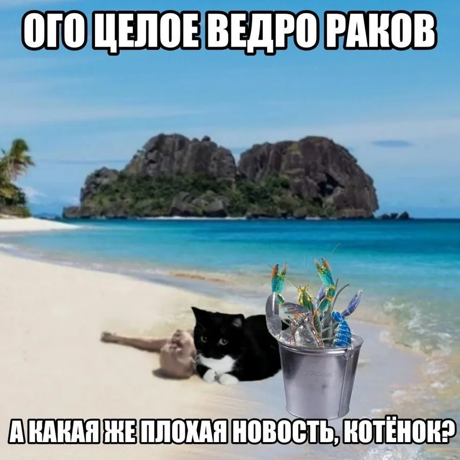 Untitled meme