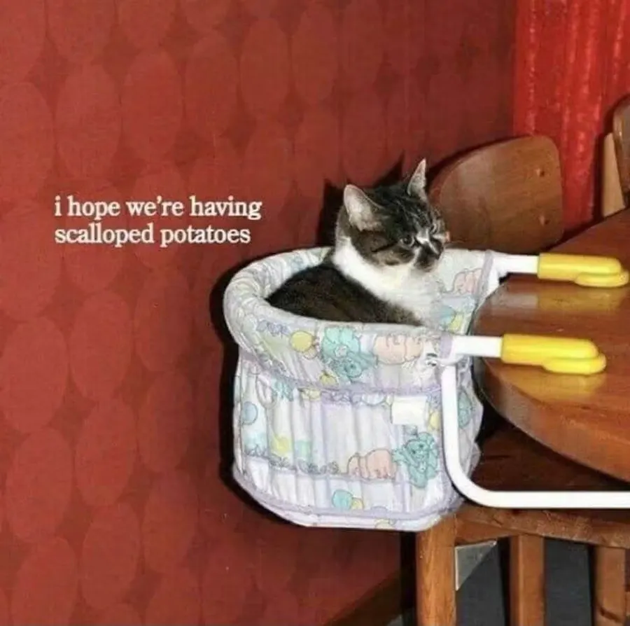 Untitled meme