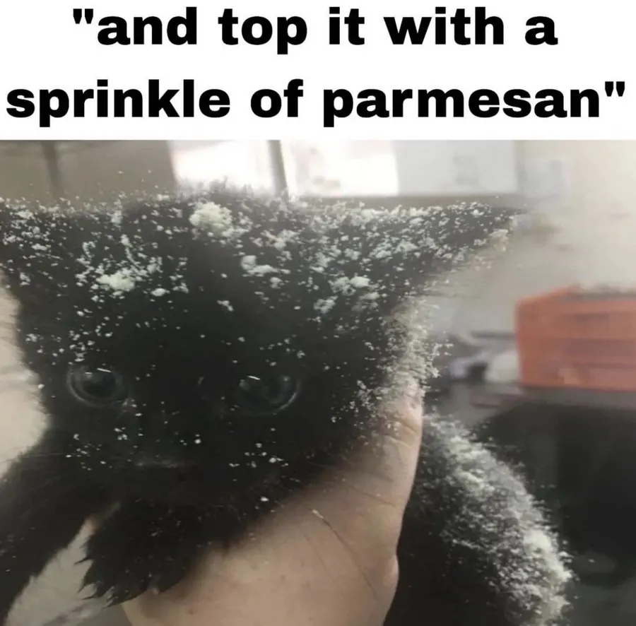 Untitled meme
