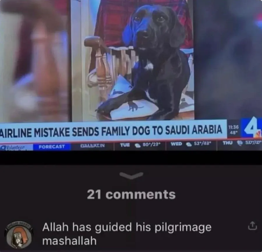 Untitled meme