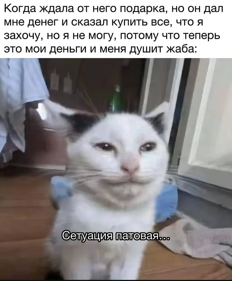 Untitled meme