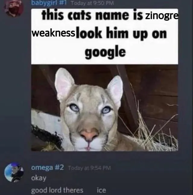 Untitled meme