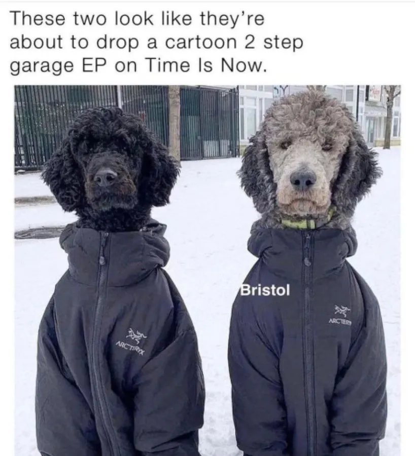 Untitled meme