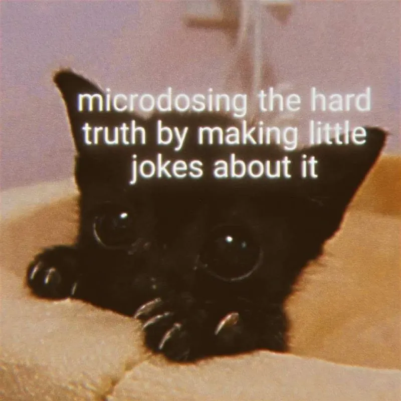 Untitled meme