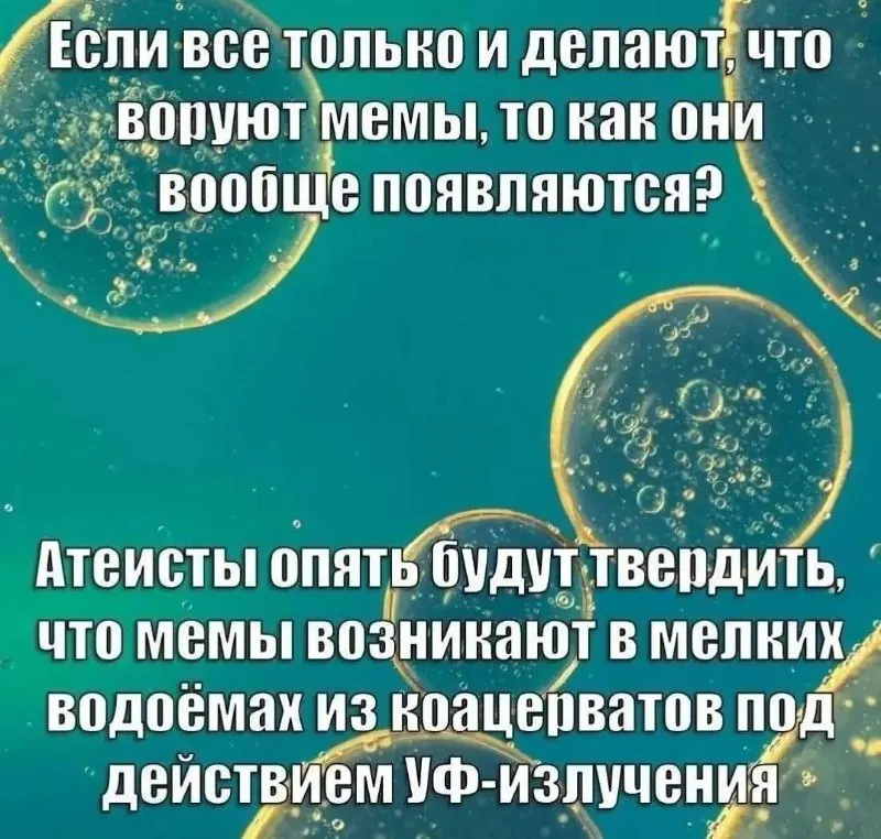 Untitled meme