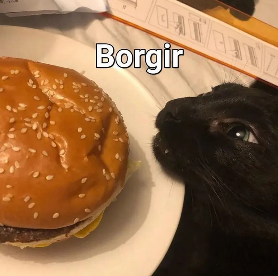 Untitled meme