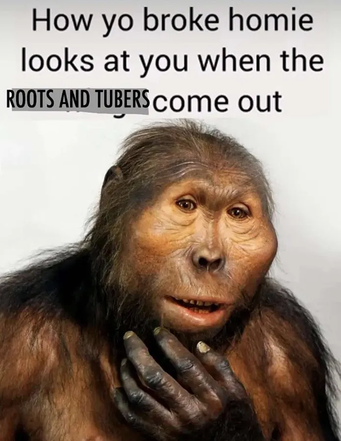 Untitled meme