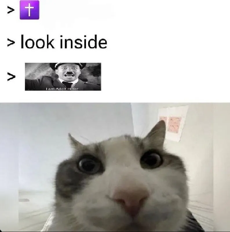 Untitled meme