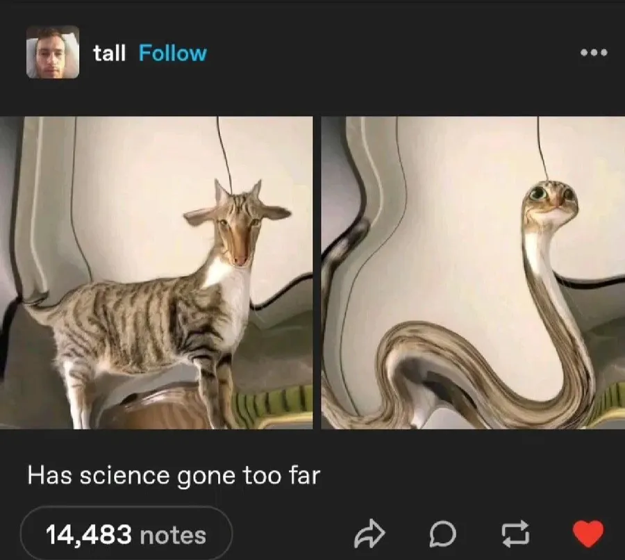 Untitled meme
