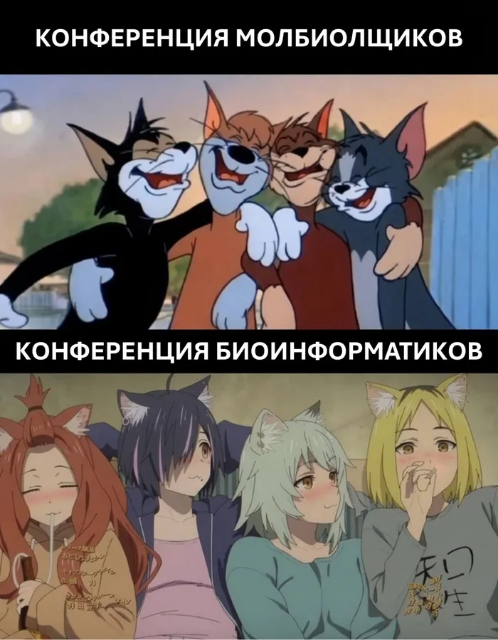 Untitled meme