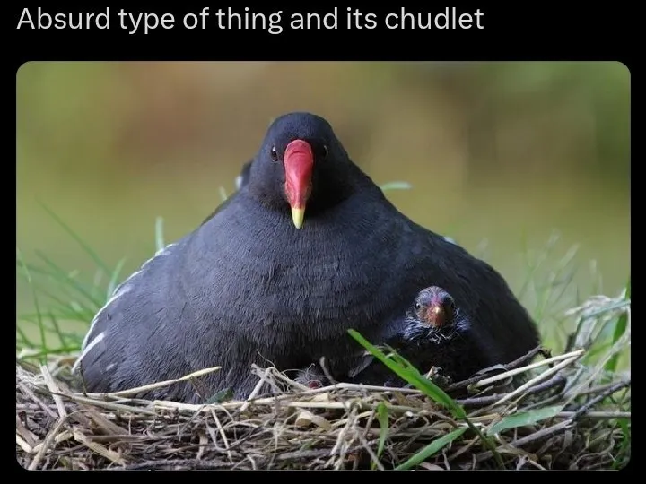 Untitled meme