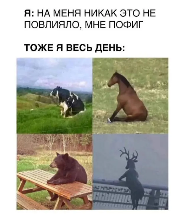Untitled meme