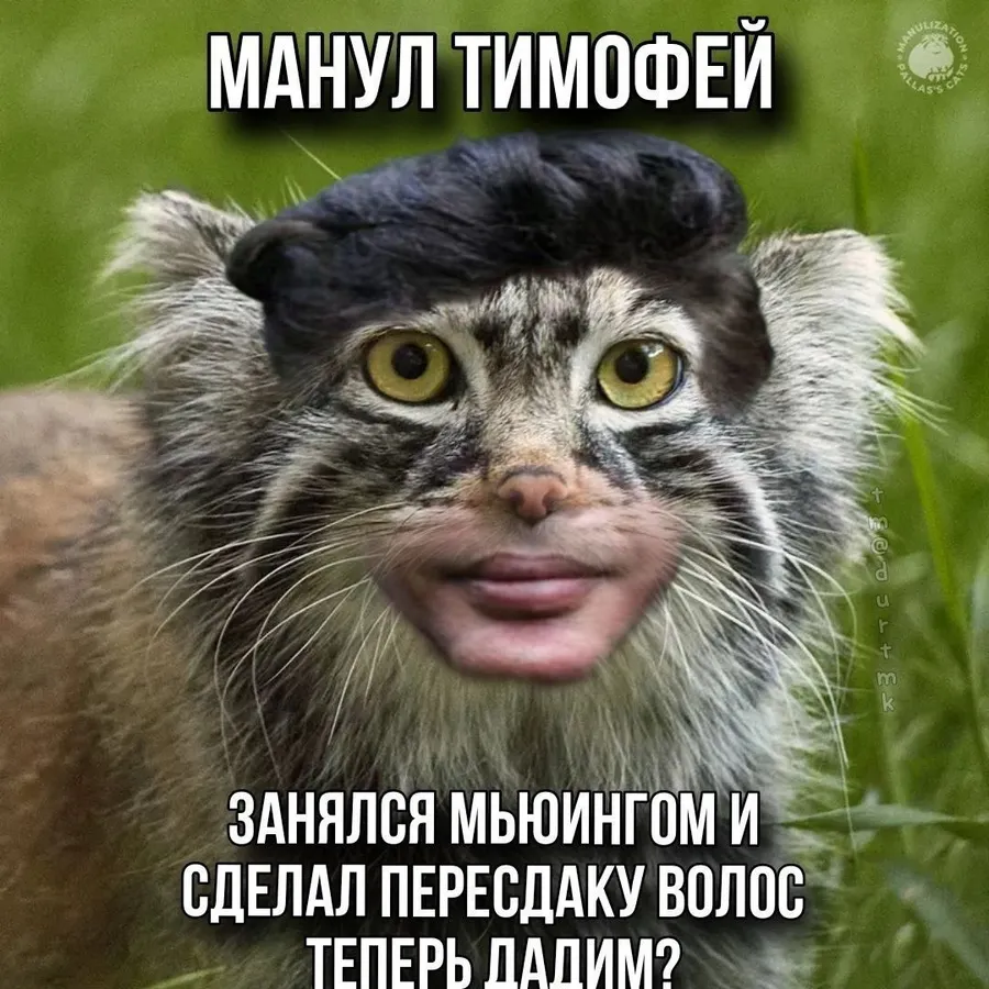 Untitled meme