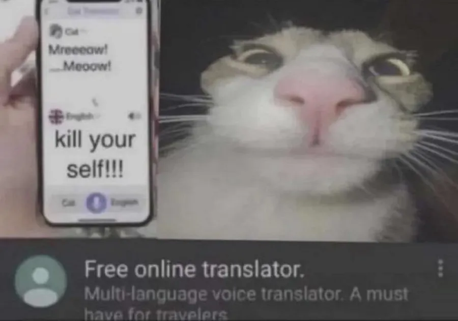 Untitled meme