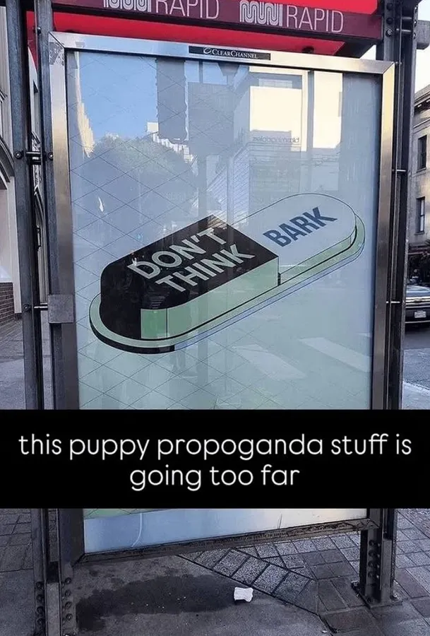 Untitled meme